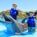 Two boys in a pool petting a dolphin